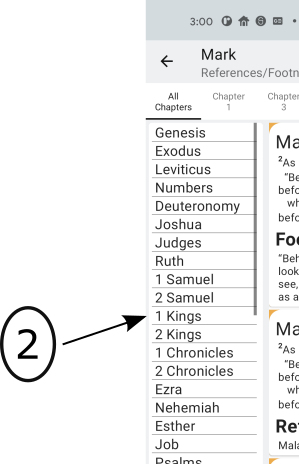 Image of the OFS app Reference/Footnote page with an arrow pointing Booknames.