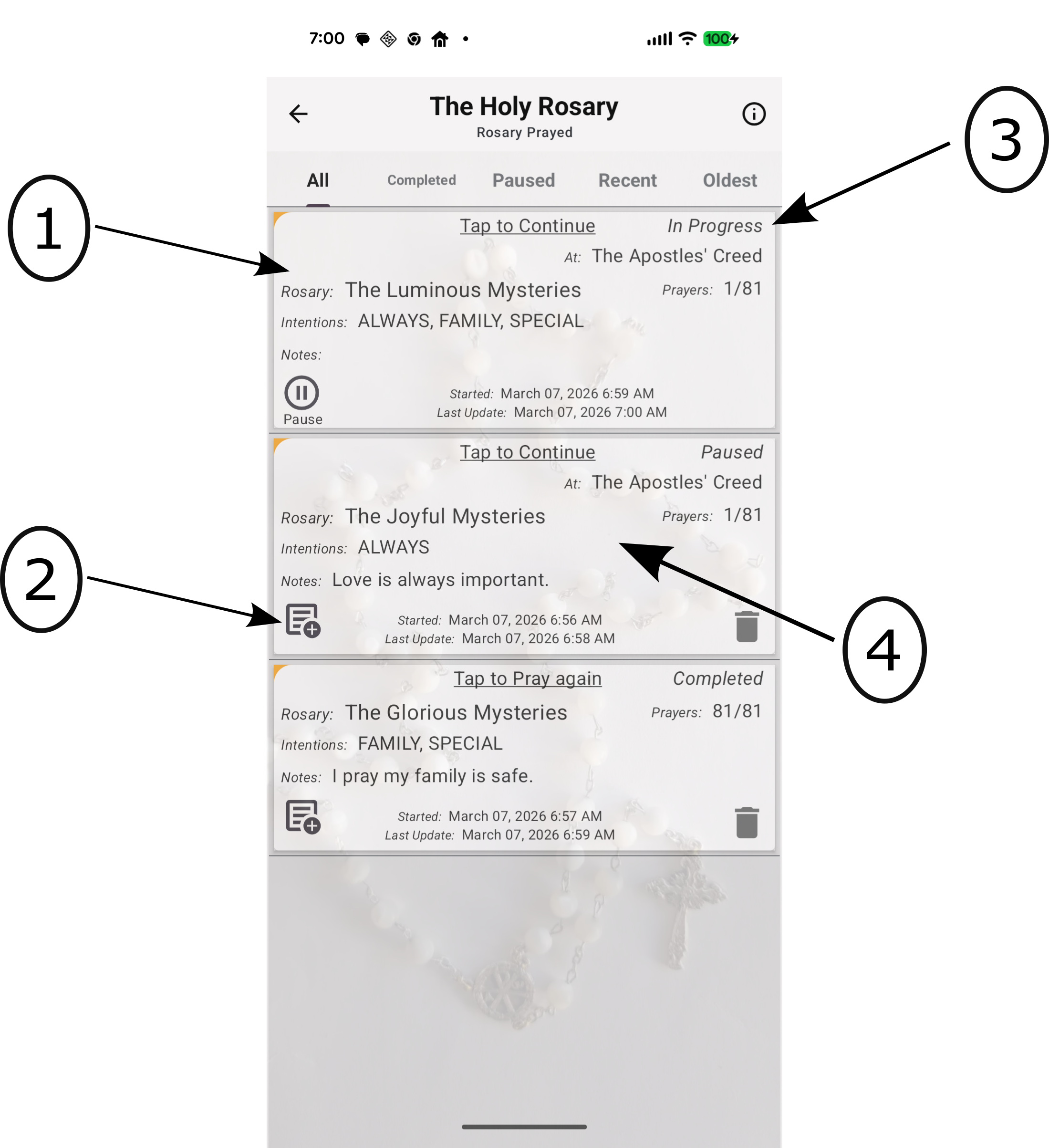 History screen showing records of prayed Rosaries and their statuses.